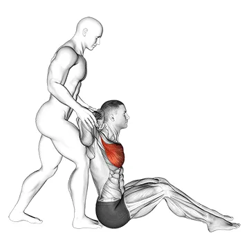 Animated demonstration: behind head chest stretch — target pectorals
