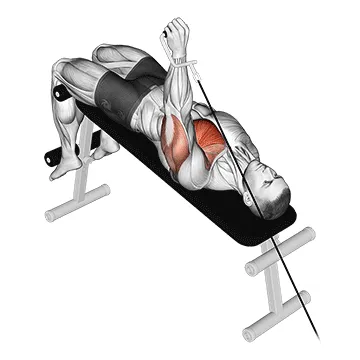 Animated demonstration: cable decline one arm press — target pectorals