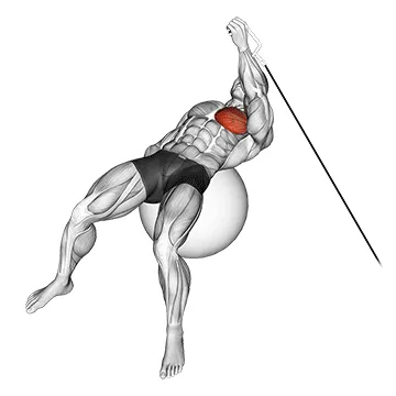 Animated demonstration: cable one arm fly on exercise ball — target pectorals