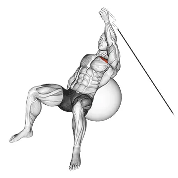 Animated demonstration: cable one arm incline fly on exercise ball — target pectorals