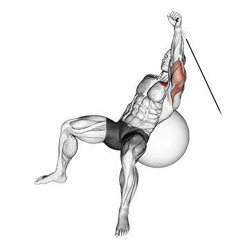 Animated demonstration: cable one arm incline press on exercise ball — target pectorals