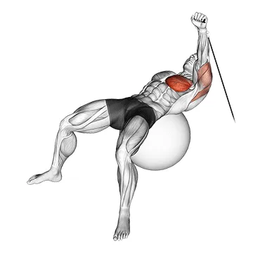 Animated demonstration: cable one arm press on exercise ball — target pectorals
