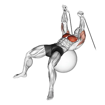 Animated demonstration: cable press on exercise ball — target pectorals