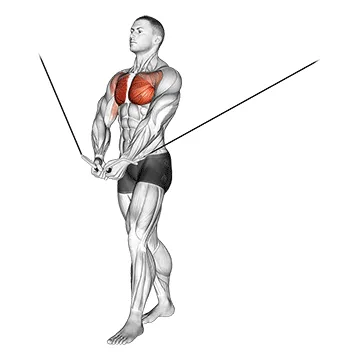 Animated demonstration: cable standing up straight crossovers — target pectorals