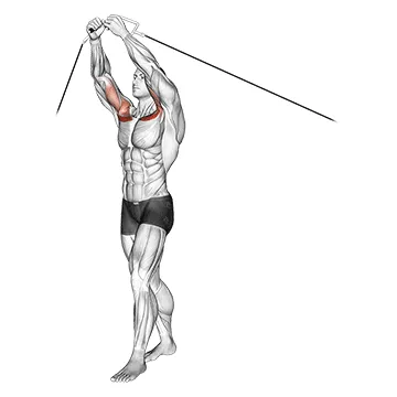 Animated demonstration: cable upper chest crossovers — target pectorals