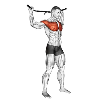Animated demonstration: chest and front of shoulder stretch — target pectorals