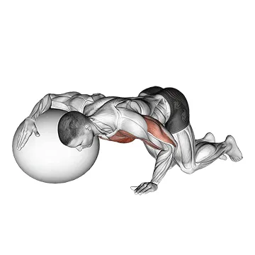 Animated demonstration: chest stretch with exercise ball — target pectorals