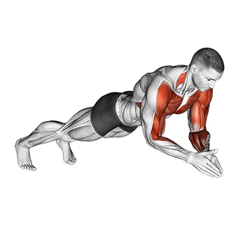 Animated demonstration: clap push up — target pectorals