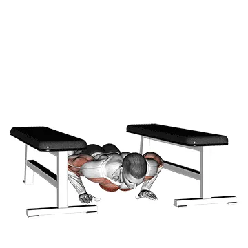 Animated demonstration: drop push up — target pectorals