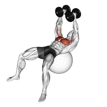 Animated demonstration: dumbbell fly on exercise ball — target pectorals