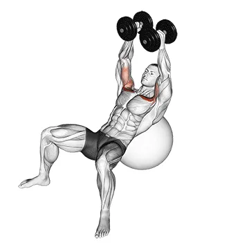 Animated demonstration: dumbbell incline fly on exercise ball — target pectorals