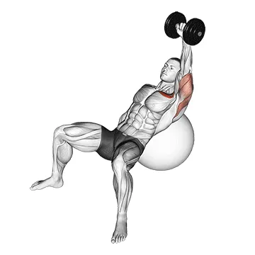Animated demonstration: dumbbell incline one arm press on exercise ball — target pectorals