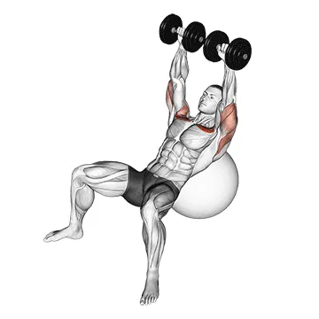 Animated demonstration: dumbbell incline press on exercise ball — target pectorals