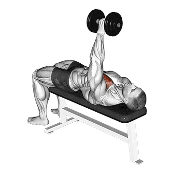 Animated demonstration: dumbbell one arm bench fly — target pectorals