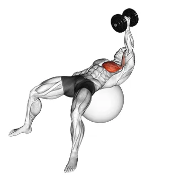 Animated demonstration: dumbbell one arm chest fly on exercise ball — target pectorals