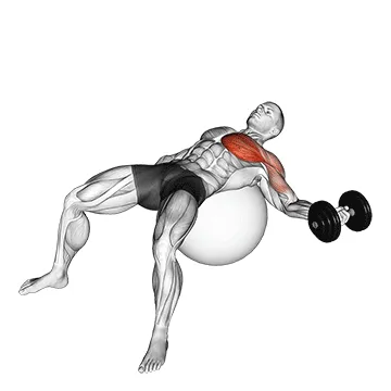 Animated demonstration: dumbbell one arm fly on exercise ball — target pectorals