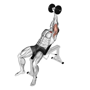 Animated demonstration: dumbbell one arm incline chest press — target pectorals