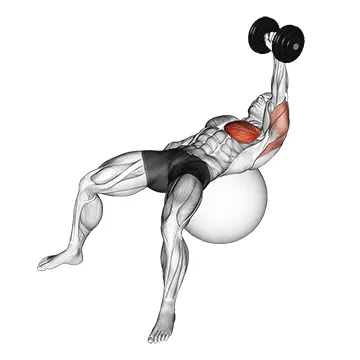 Animated demonstration: dumbbell one arm press on exercise ball — target pectorals