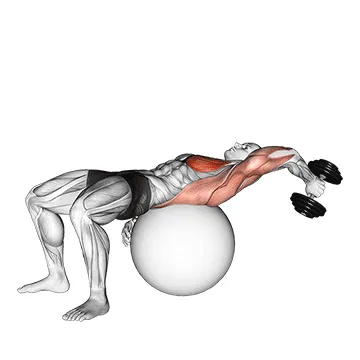 Animated demonstration: dumbbell one arm pullover on exercise ball — target pectorals