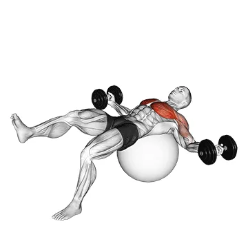 Animated demonstration: dumbbell one leg fly on exercise ball — target pectorals