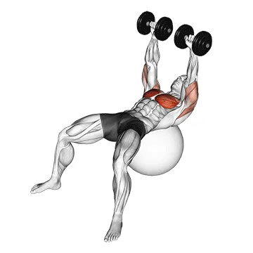 Animated demonstration: dumbbell press on exercise ball — target pectorals