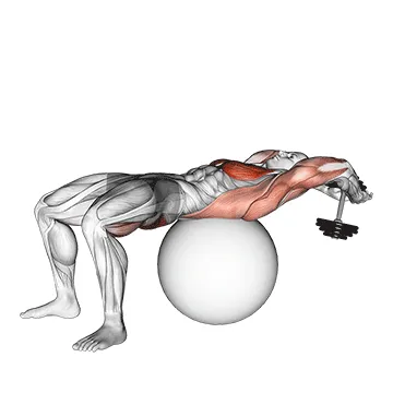 Animated demonstration: dumbbell pullover hip extension on exercise ball — target pectorals