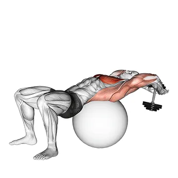 Animated demonstration: dumbbell pullover on exercise ball — target pectorals