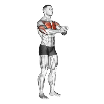 Animated demonstration: isometric chest squeeze — target pectorals