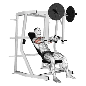 Animated demonstration: lever decline chest press — target pectorals