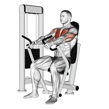Animated demonstration: machine inner chest press — target pectorals