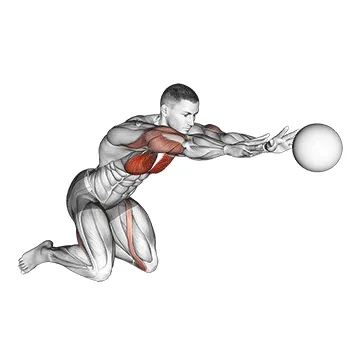 Animated demonstration: medicine ball chest push multiple response — target pectorals