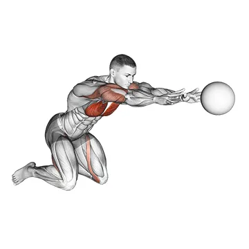 Animated demonstration: medicine ball chest push single response — target pectorals