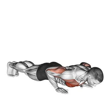 Animated demonstration: plyo push up — target pectorals