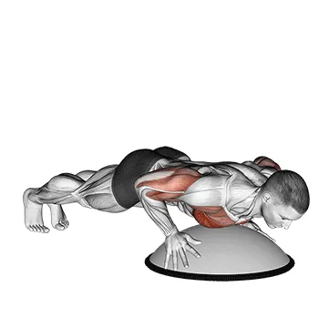 Animated demonstration: push up on bosu ball — target pectorals