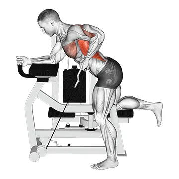 Animated demonstration: lever unilateral row — target upper back