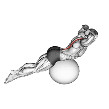 Animated demonstration: back extension on exercise ball — target spine