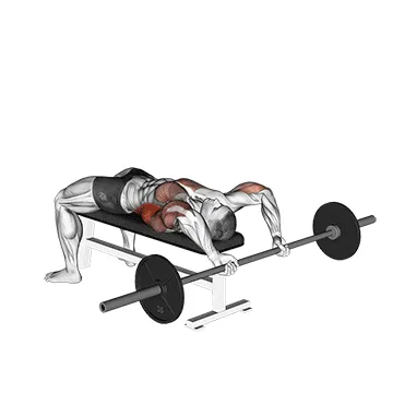Animated demonstration: barbell bent arm pullover — target lats