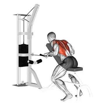 Animated demonstration: cable incline bench row — target upper back