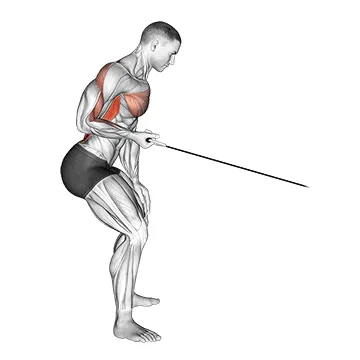 Animated demonstration: cable palm rotational row — target upper back