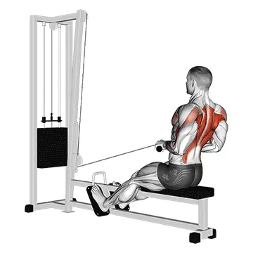 Animated demonstration: cable rope crossover seated row — target upper back