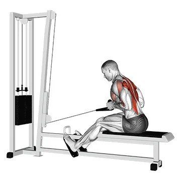Animated demonstration: cable rope elevated seated row — target upper back