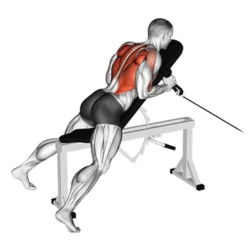 Animated demonstration: cable rope extension incline bench row — target upper back