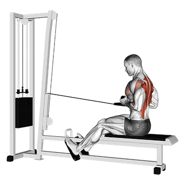 Animated demonstration: cable rope seated row — target upper back