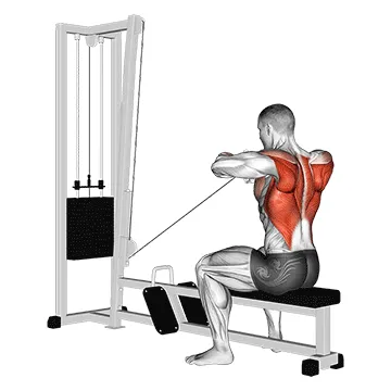 Animated demonstration: cable upper row — target upper back