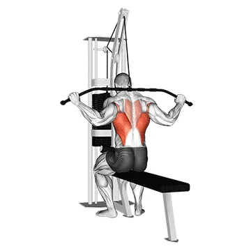 Animated demonstration: cable wide grip rear pulldown behind neck — target lats