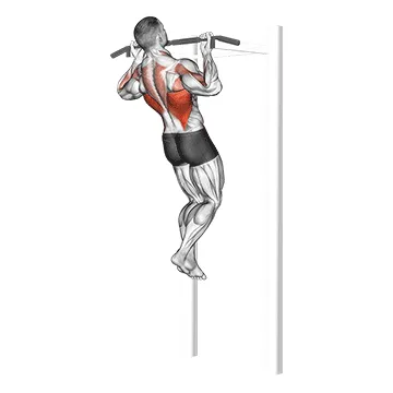 Animated demonstration: chin-up — target lats