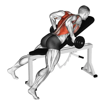 Animated demonstration: dumbbell lying rear delt row — target upper back