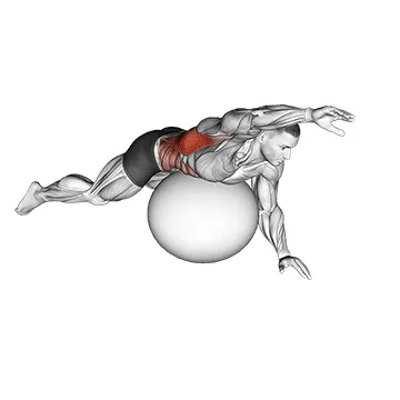 Animated demonstration: exercise ball alternating arm ups — target lats