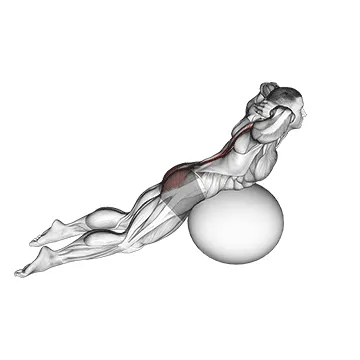 Animated demonstration: exercise ball back extension with hands behind head — target spine