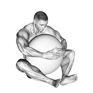 Animated demonstration: exercise ball hug — target spine